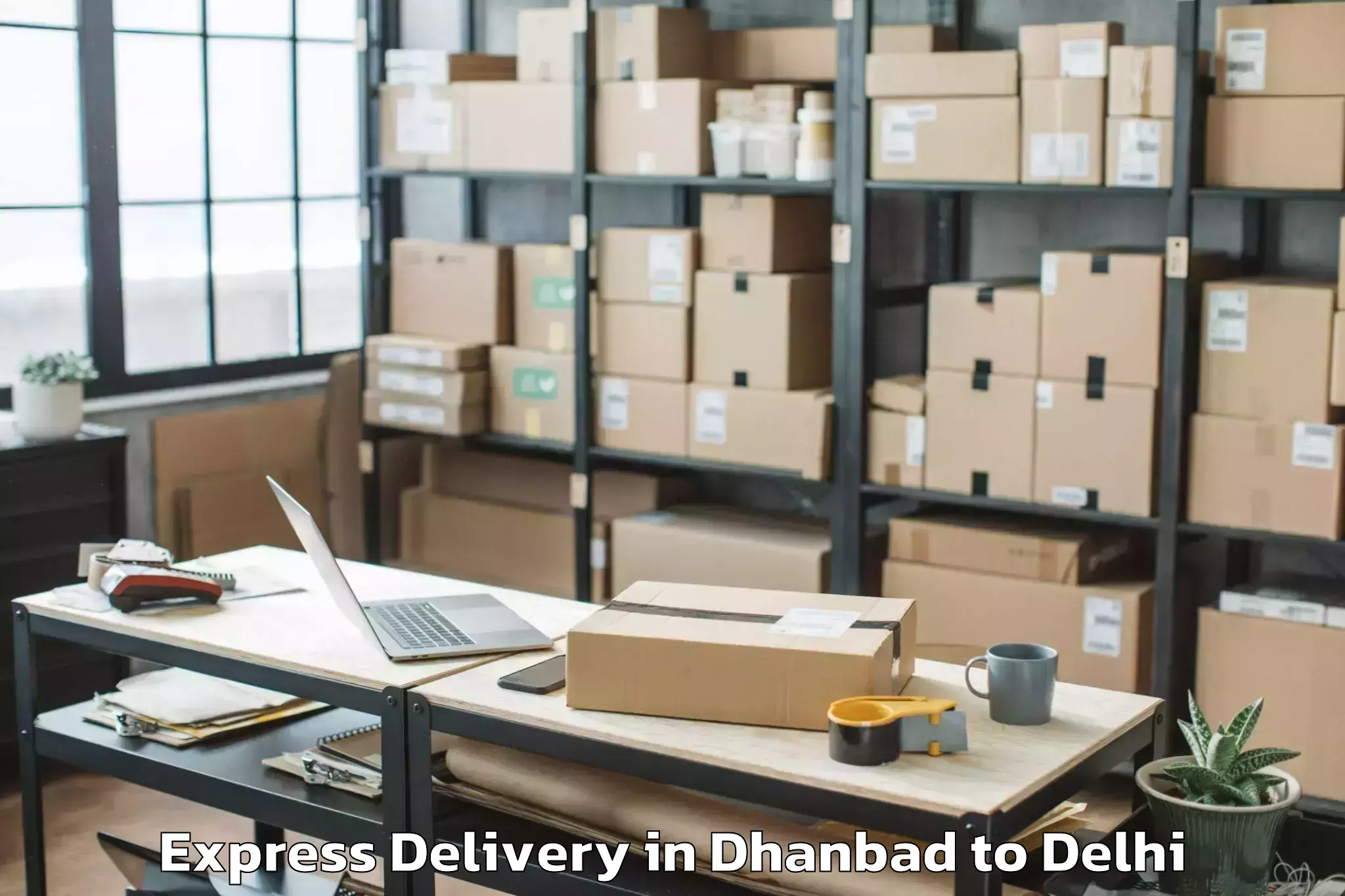 Professional Dhanbad to Nit Delhi Express Delivery